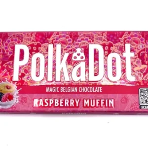 PolkaDot Raspberry Muffin Chocolate